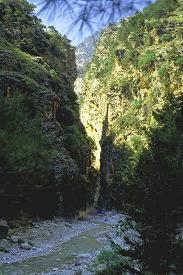 les gorges de samaria