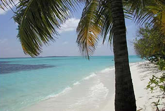 plongée maldives