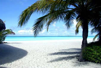 plongée maldives